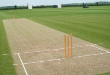 Cricket Pitches Shipped