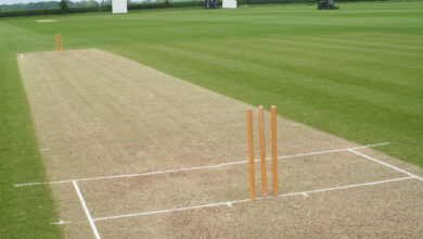 Cricket Pitches Shipped